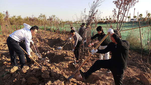 栽植過程 (2).jpg